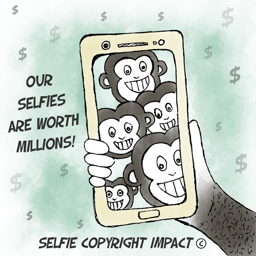 Chimpanzee-Selfie_Lawlipop